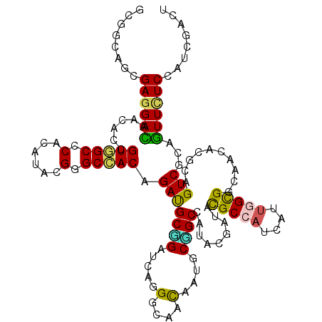 secondary structure