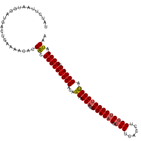 secondary structure