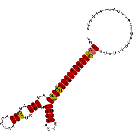 secondary structure
