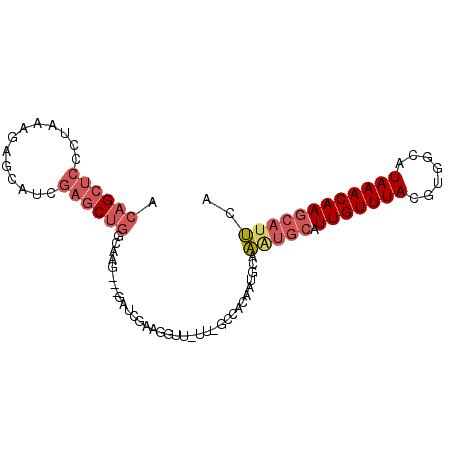 secondary structure