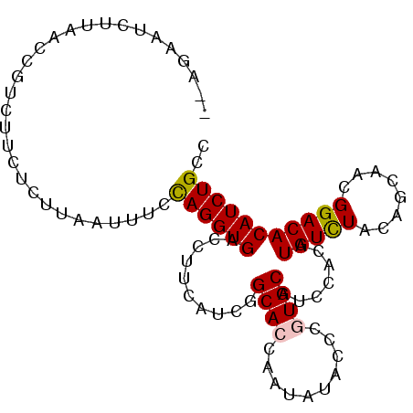 secondary structure