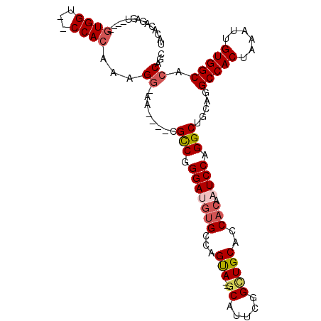secondary structure