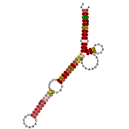 secondary structure