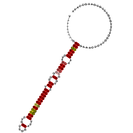 secondary structure