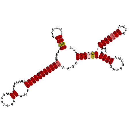 secondary structure