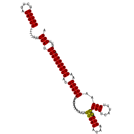 secondary structure