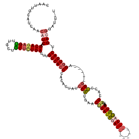 secondary structure