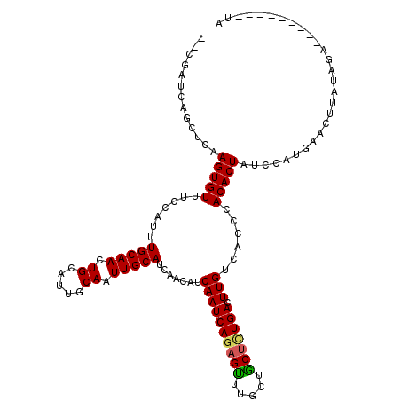 secondary structure