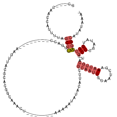 secondary structure