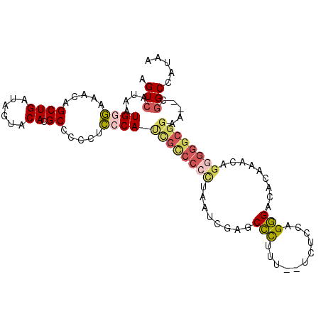 secondary structure
