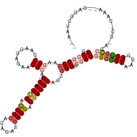 secondary structure