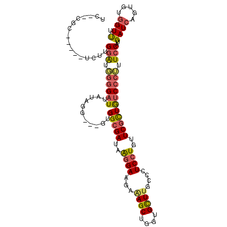 secondary structure