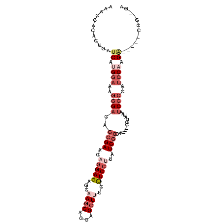 secondary structure