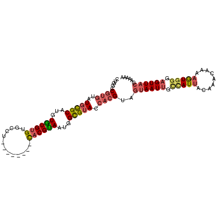 secondary structure