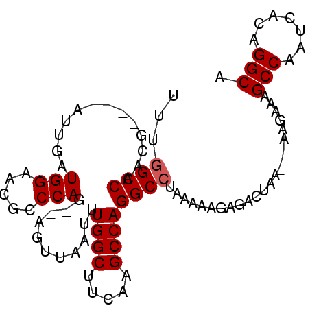 secondary structure