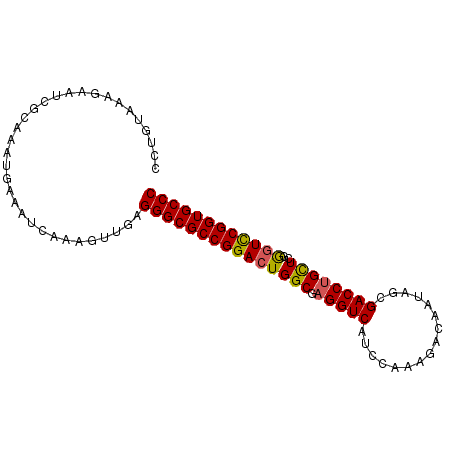secondary structure