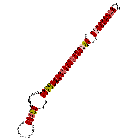 secondary structure