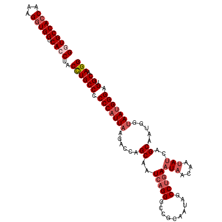 secondary structure