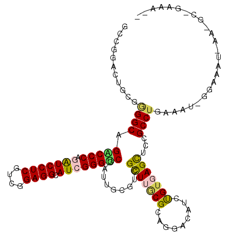 secondary structure