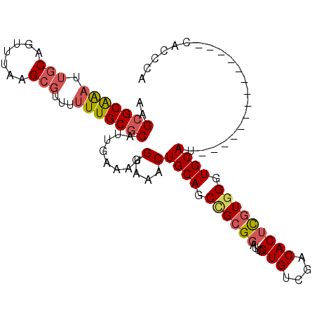 secondary structure