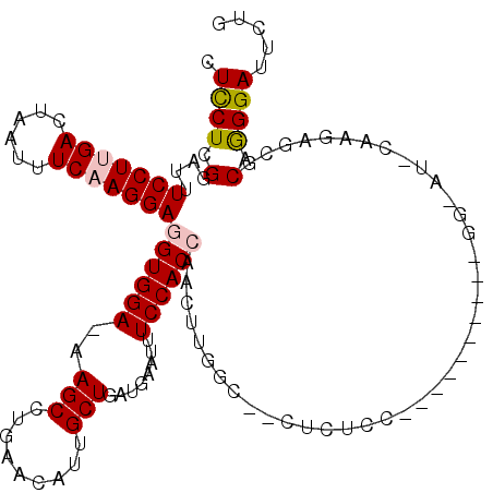 secondary structure