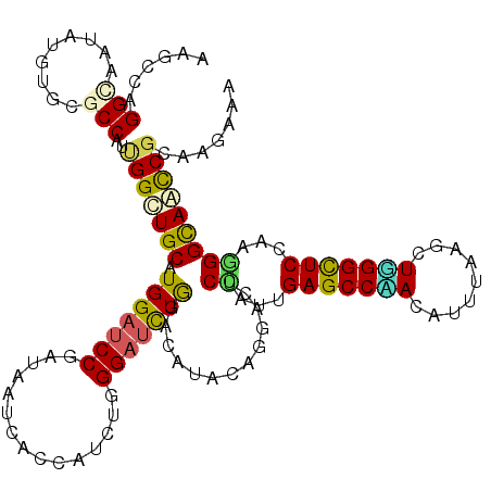 secondary structure