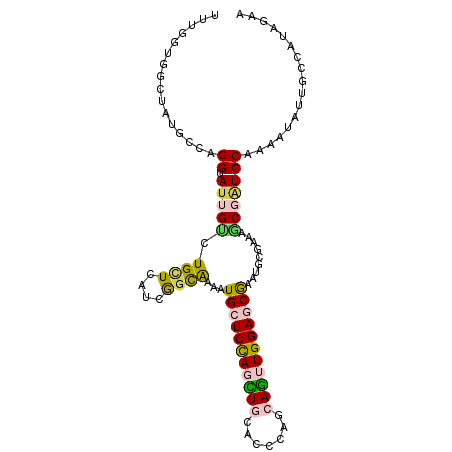 secondary structure