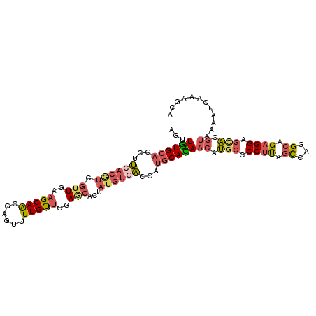 secondary structure