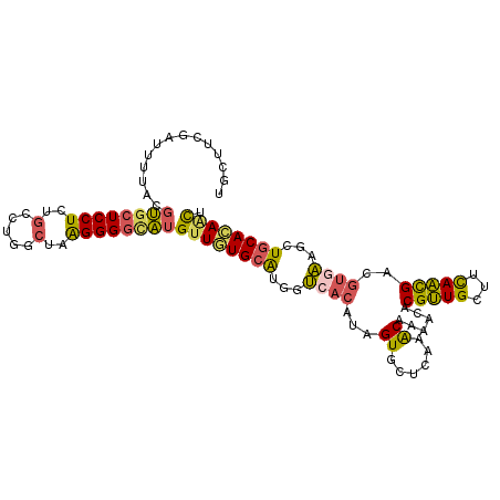 secondary structure