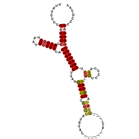 secondary structure