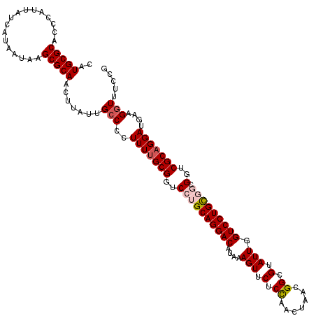 secondary structure