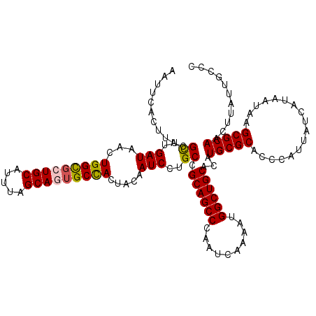 secondary structure