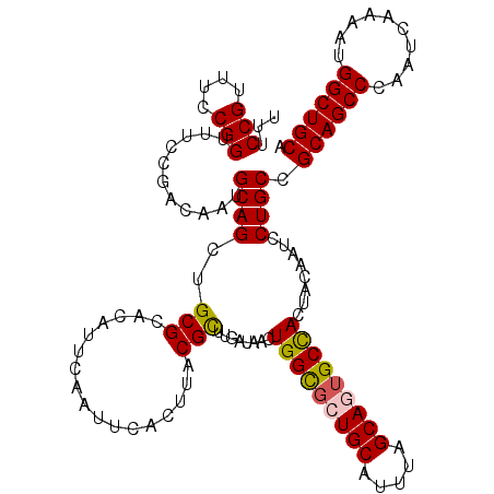 secondary structure