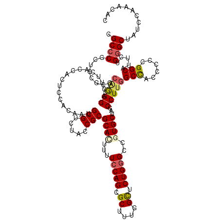 secondary structure