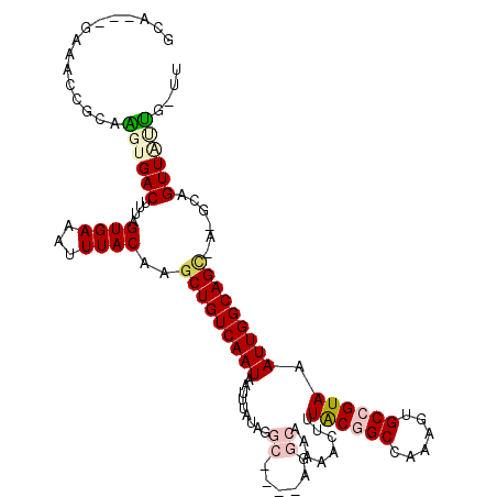 secondary structure