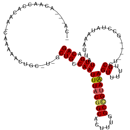 secondary structure