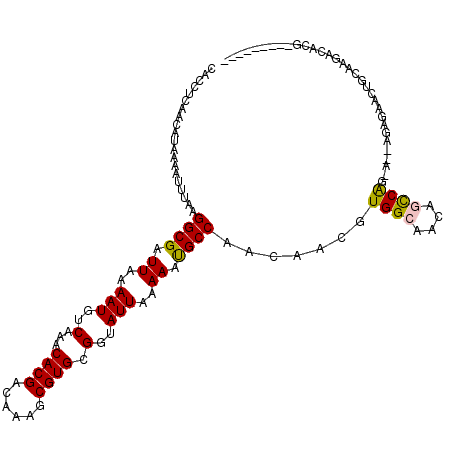 secondary structure