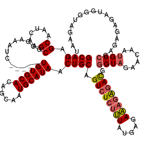 secondary structure