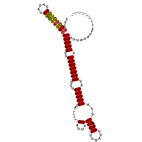 secondary structure
