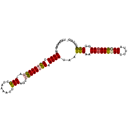 secondary structure