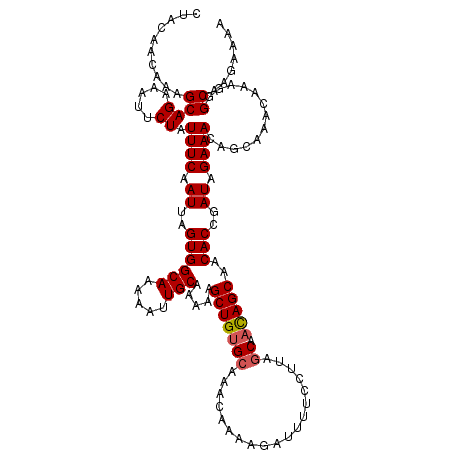 secondary structure