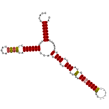 secondary structure