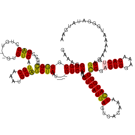 secondary structure