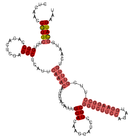 secondary structure