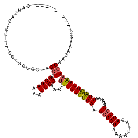 secondary structure