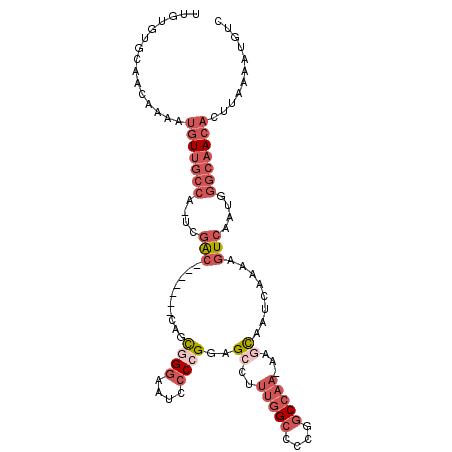 secondary structure