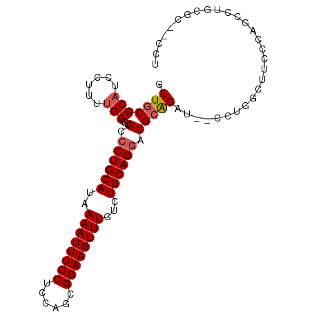 secondary structure