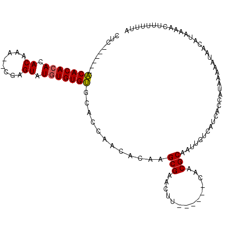secondary structure