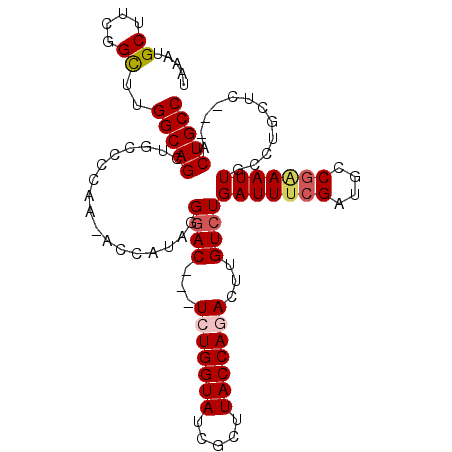 secondary structure