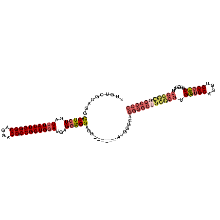 secondary structure